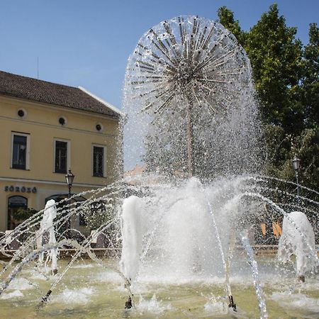 Marusius Apartmanhaz Lägenhet Makó Exteriör bild